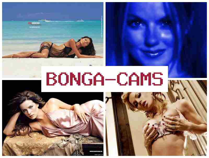 B0NGA CAMS 💖 Horny Porn & Slut Riding