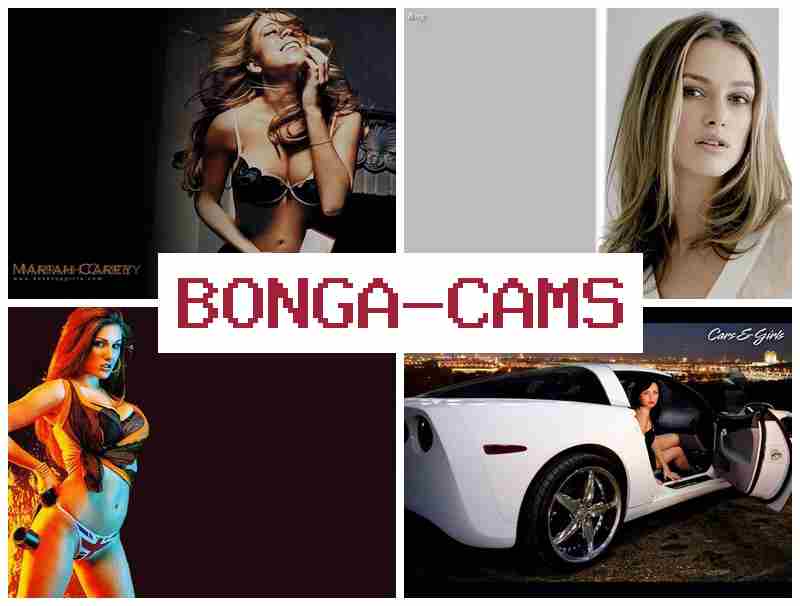 BONGA FAMS 💯 Anal Plug in Public Slut & TikTok Sluts