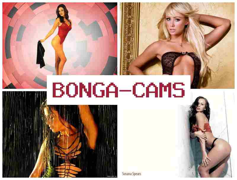 BONGACASM ▓ Creampie Porn & XXX Webcam, Anal