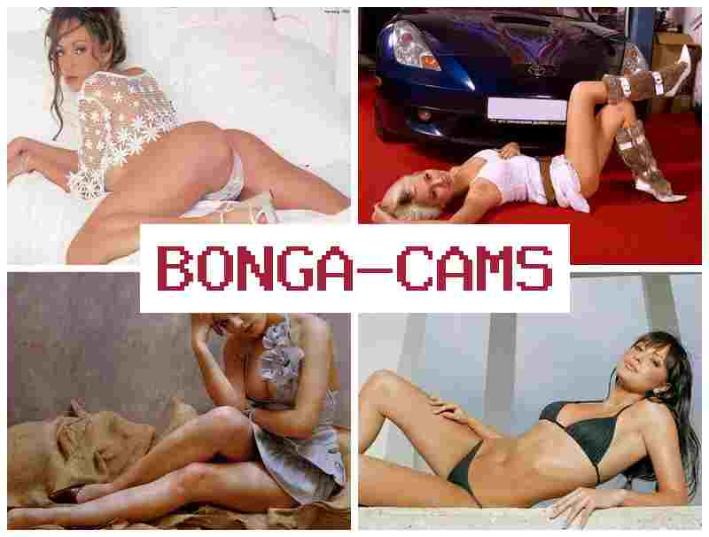 BONGA CMS 💜 Jeans Porn & Webcams Latinas Porno