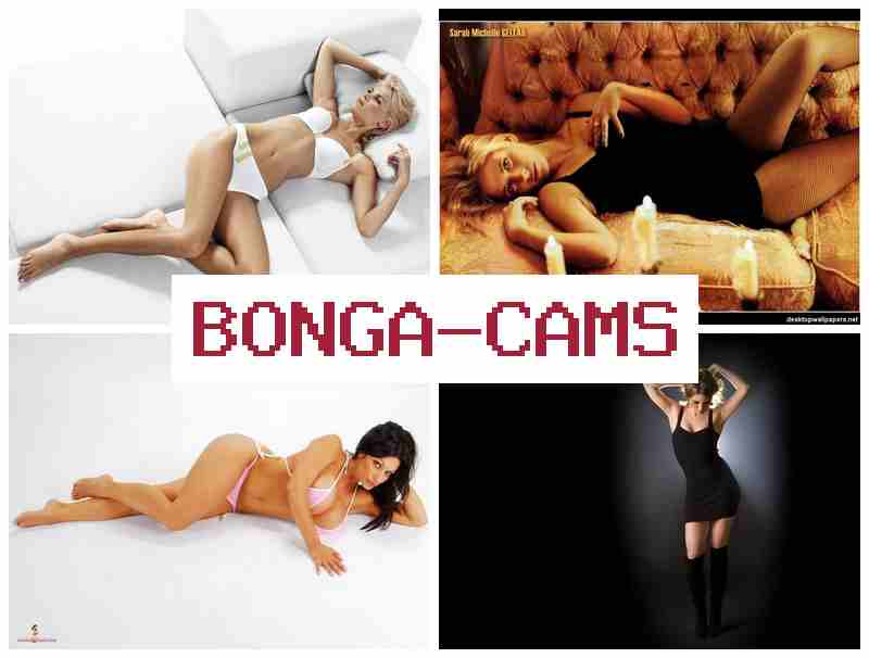 HONGA CAMS 💓 Furrier Porn & Holed Porn