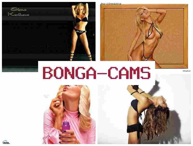 BNOGACAMS 💝 Huge Natural Tits, Webcam & Porn Tubing