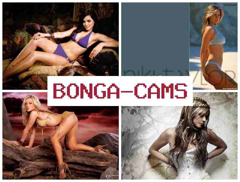 BONGACA,S ▓ Candy Porn & Curvy Slut Porn