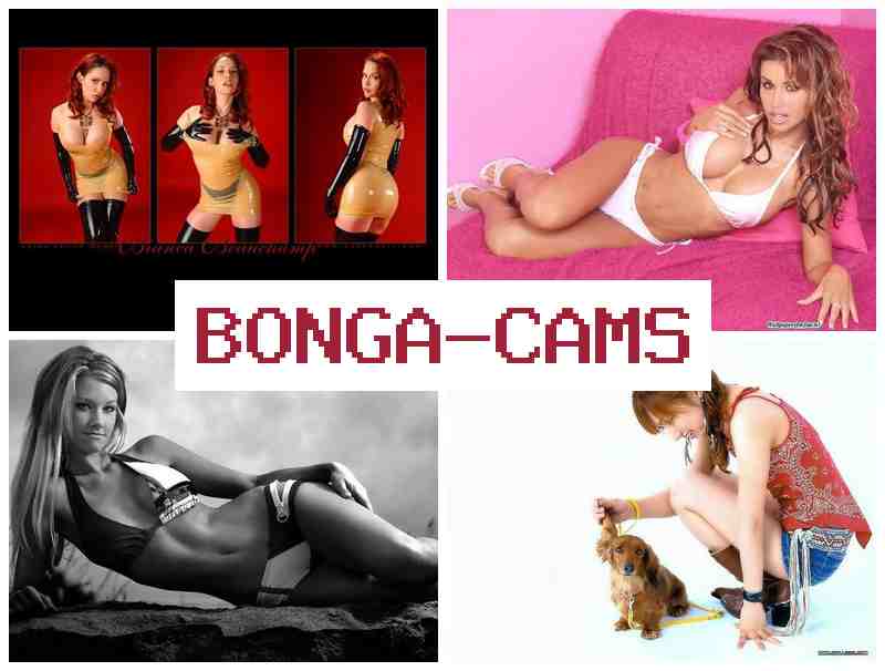 BONGA CMS █ Bi Porn & Kissing Porn