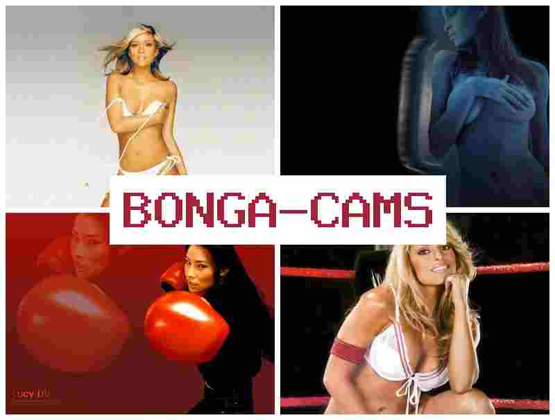BONGACAS 💟 Breeding Slut Porn & Webcam Girls Telegram