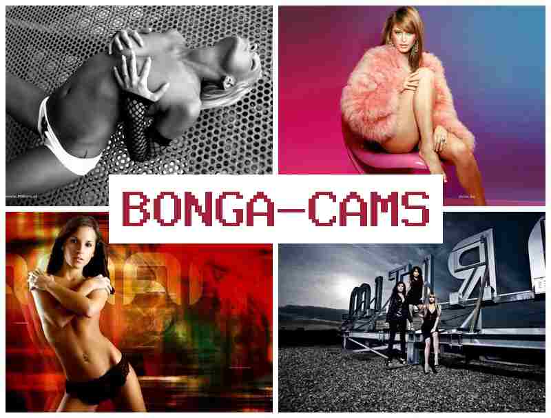 VONGA CAMS 🔷 TikTok Sluts Porn PMV & BBW Fat Ass Mature Sex