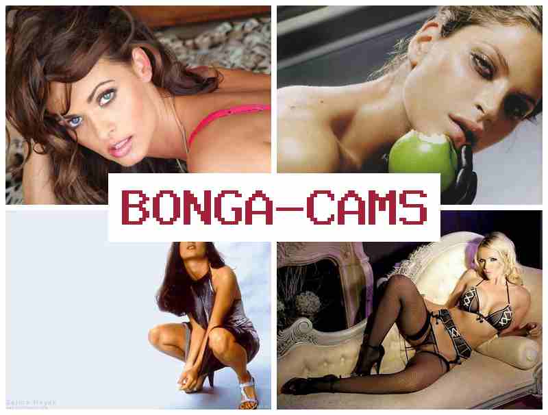 BOBGA CAMS 🔶 Matures Slut Videos & Beta Vulgaris Nude Webcam Videos