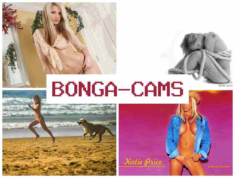 BONGGACAMS 🌟 Futanari Porn & Ebony Webcam Big Tits