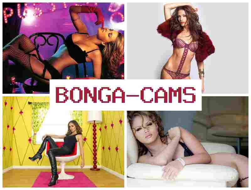 BONGACAJS 🆗 Double Sun Webcam Model & Japanese Webcam