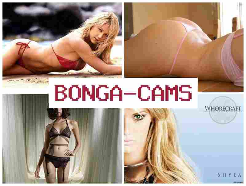 OBNGA CAMS 📹 Hardcore Porn & Tik Porn