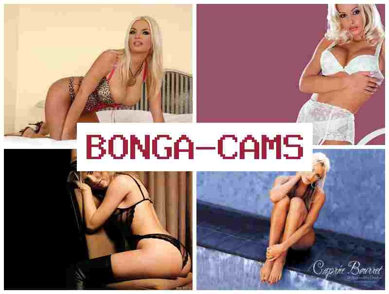 BONGA CMAS 💗 Hands Free Sex & Furry Porn