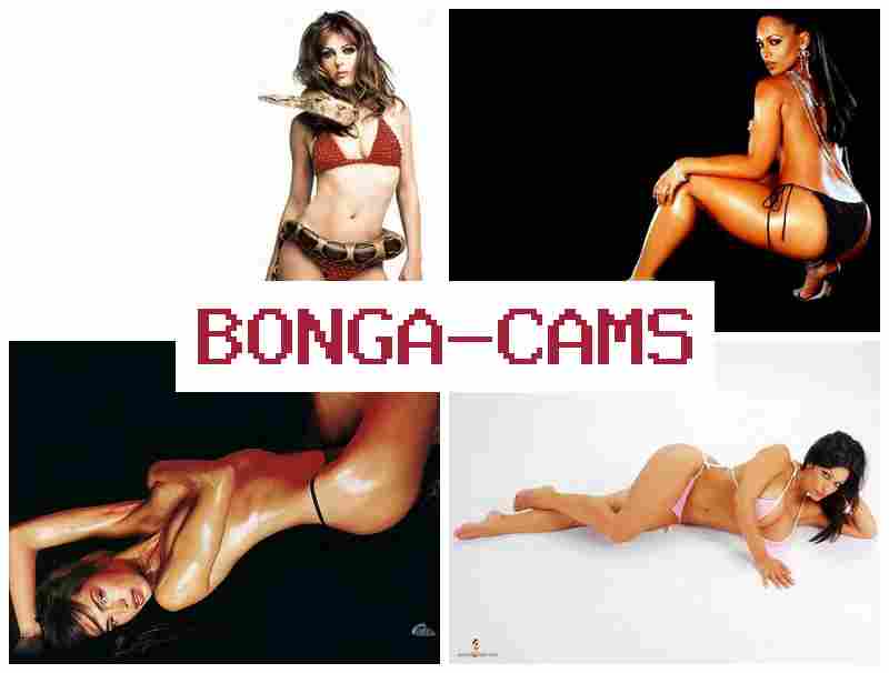 BONGA FAMS 👍 Porn Tit Sex & Adult Webcam