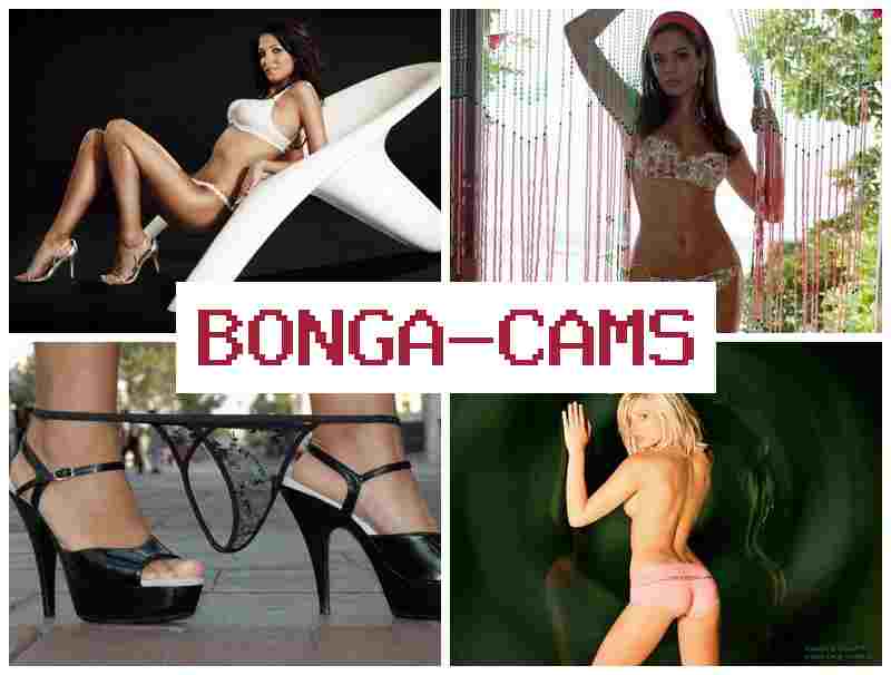 BKNGACAMS 🆒 Belly Porn & Candy Slut