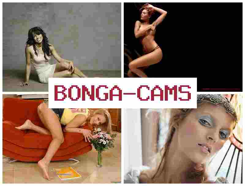 BONGACZMS ▓ Webcam CP Forum & Asian Student Sex Videos