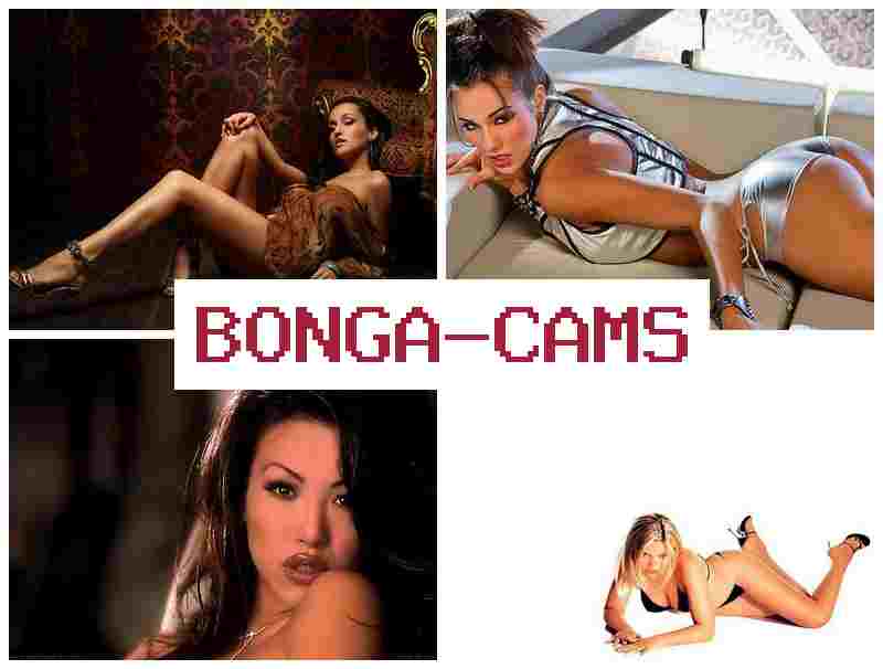 BONGA AMS 🌟 Naughty Porn & Webcam Puffy Tits