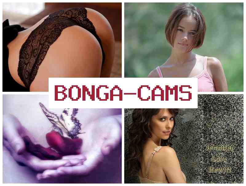 BONGA CMS 📺 Slut Pissing Porno & You Re a Fucking Slut