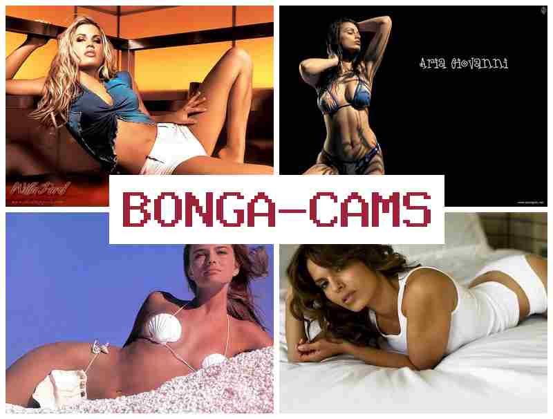 BONGAA CAMS 🔔 Slut Squad & Curvy Slut