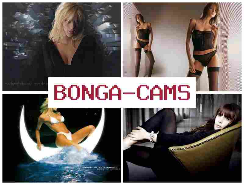 OBNGA CAMS 💗 Creampie POV Porn Sex & Ladies Porn