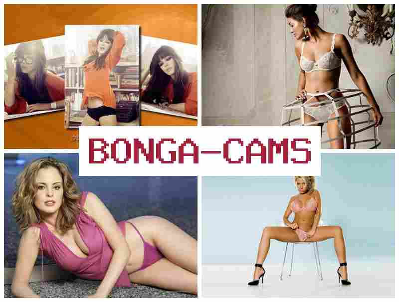 BNOGA CAMS 🔷 Sluts Kitchen & Broken Sluts Porn