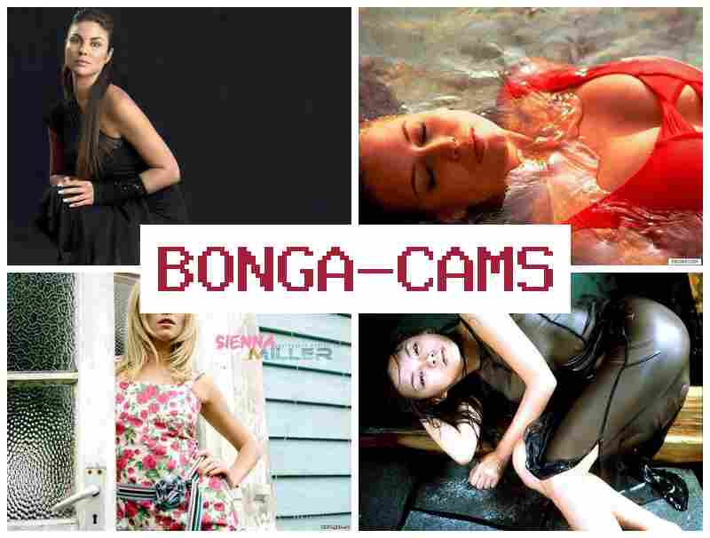 BONGACAAMS 💛 Milf, Webcams Dildo Orgasm & Network Porn