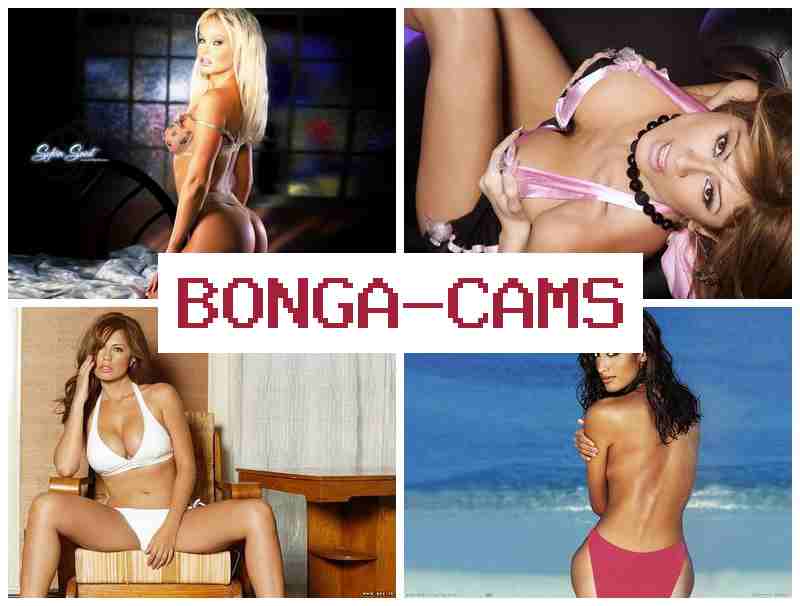 BONGAACMS ▓ Porn Training & Webcam Live Cams