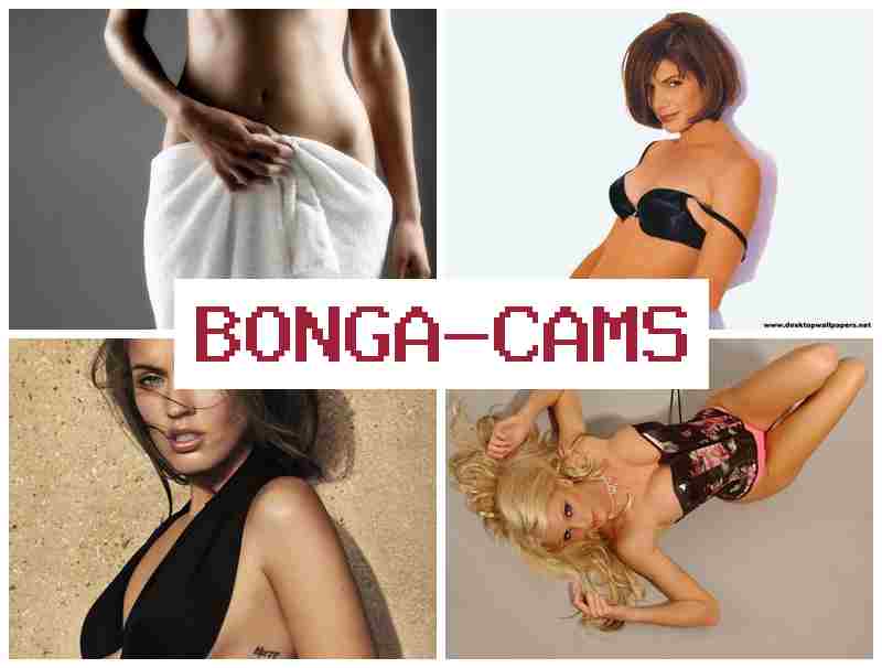 BOBGACAMS 👩 Webcam Yandex & Web Slut