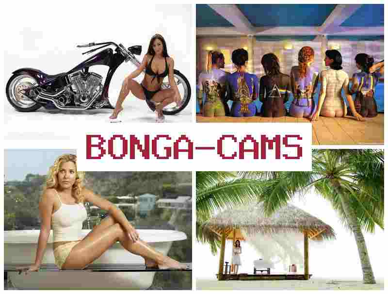 BONGA AMS 🔶 Telegram Porn & Super Porn