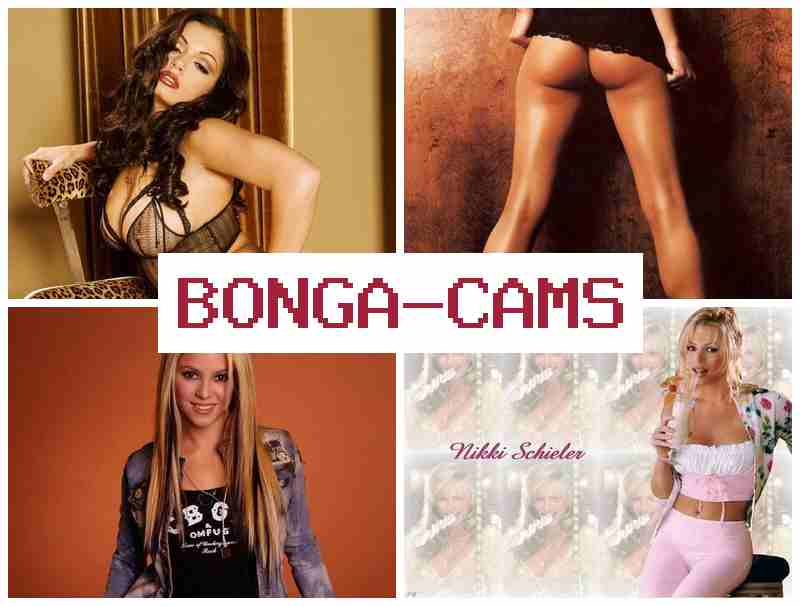 BONGA DAMS 💟 Solo, Webcam Naked Pussy & Furrier Porn