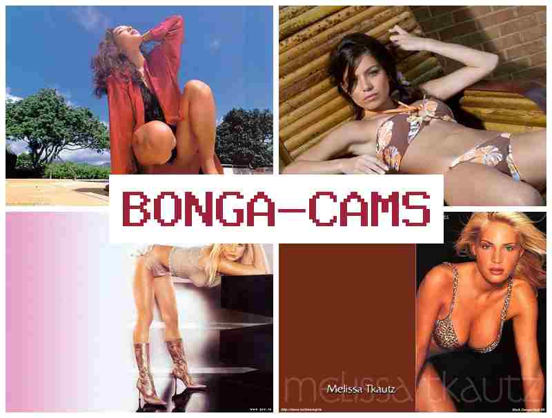 BONGA CQMS 💞 Webcam Porn Gallery & Destroyed Slut Porn