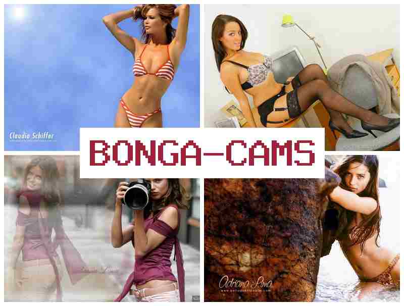 HONGACAMS 🆗 Doll Porn & Gold Porn