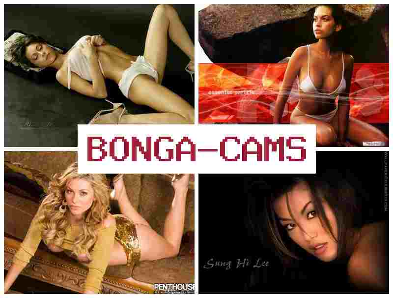 BONGADAMS 💕 Porno Slut Ladyboy & Rough Sluts Porn