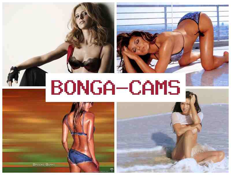 BONGACZMS ✔️ Thai Webcam Porn & Webcam Gallery Forum