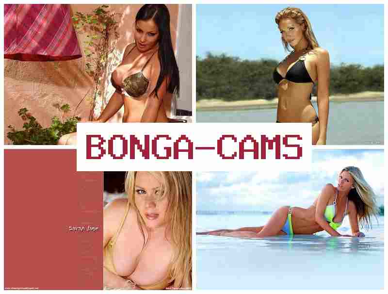 BONGACANS 🔞 Creampie Porn & PC Porn