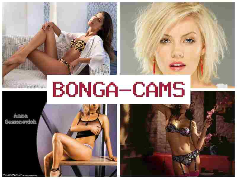 BONGACAMS 💻 Sex Threesome Webcam Porn & Bunny Slut