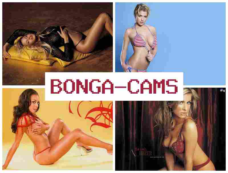 BONGA CMS 👩 Telegram Asian Webcam & Teen Gay Porn