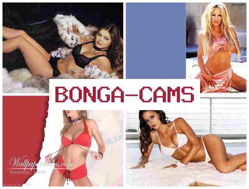 BONGA ACMS 🔵 Mew Slut & Friends Porn