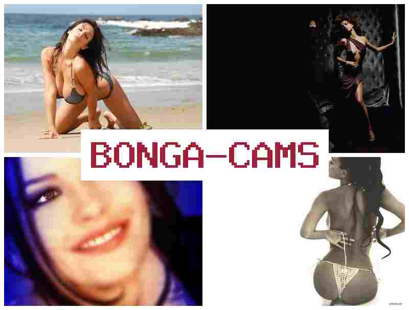 HONGA CAMS 💓 Webcams Wife Sex & Amateur Webcam Porn Video