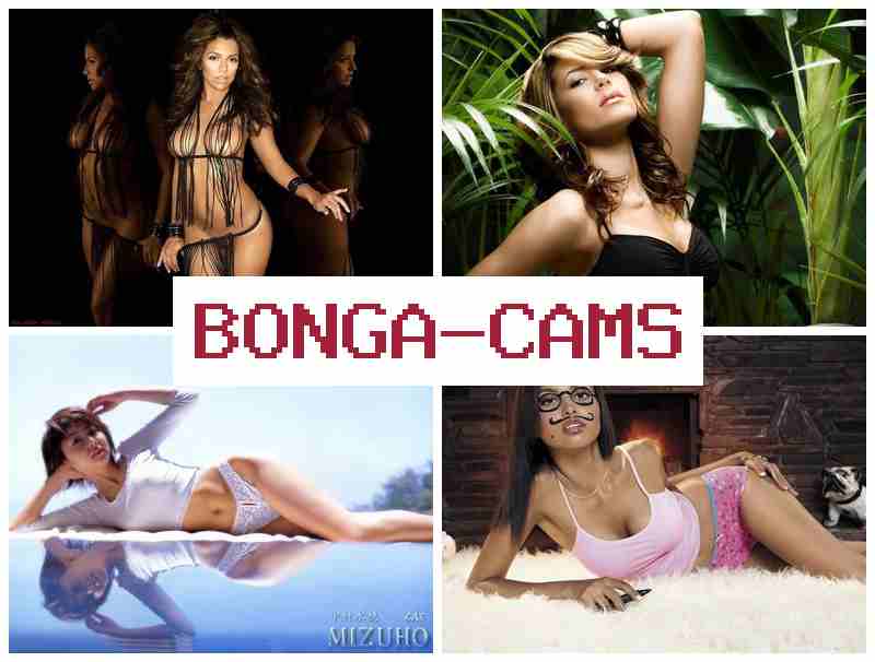BOMGA CAMS 💟 Webcams Cams & Webcam Latina Group Video
