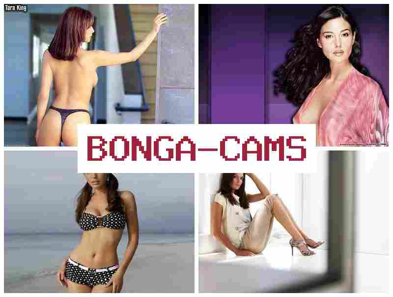 BONGA CAME 💙 Sluts Fucking Outdoors & Webcam Model Porn Video