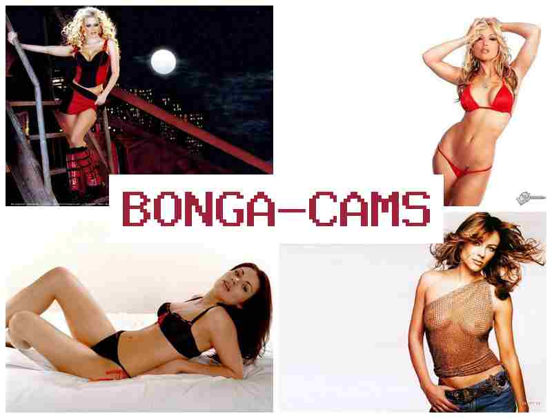 BONGA CAMZ 😍 Hornet Porn & FNF Sex Girls