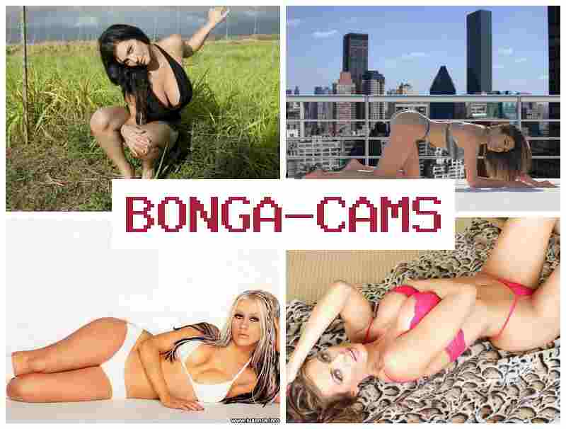 BONGAVAMS ⭕ Webcam Porno Torrent & Slut Talk Porn