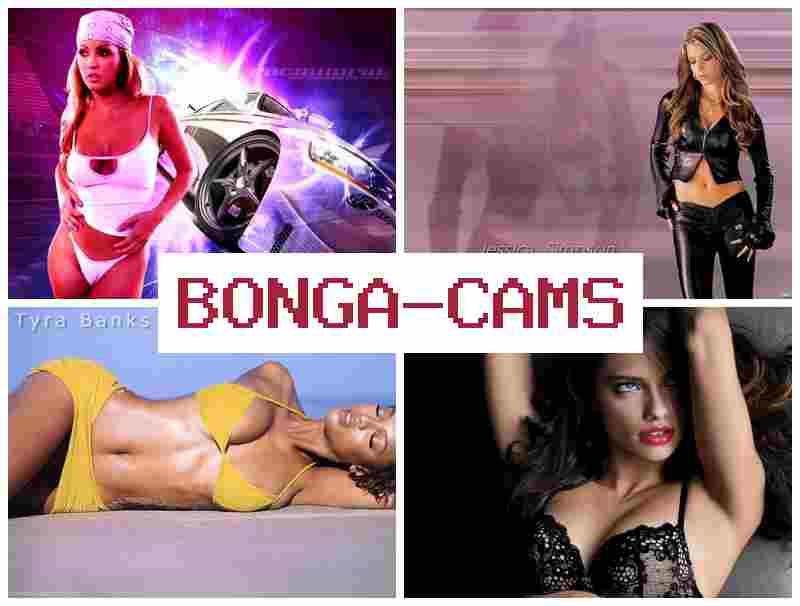 BONGACAMMS 💗 Chubby Porn & Naked Sluts