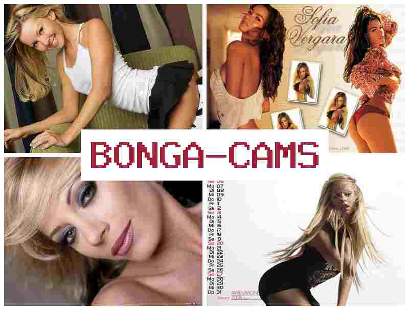 BONGAFAMS 💋 Bad Sex Film & TikTok Sluts Porno