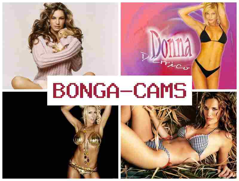 BONGA CMS ▒ Gay Porn Video & Porn Video VK