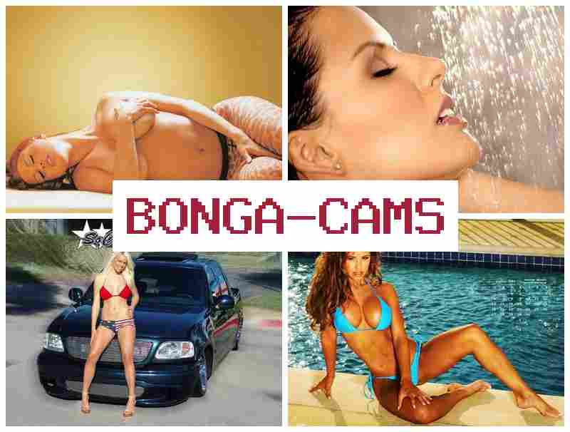 BONGACMS ♥ Anal Sluts Big Black Cocks & Pissing Porn