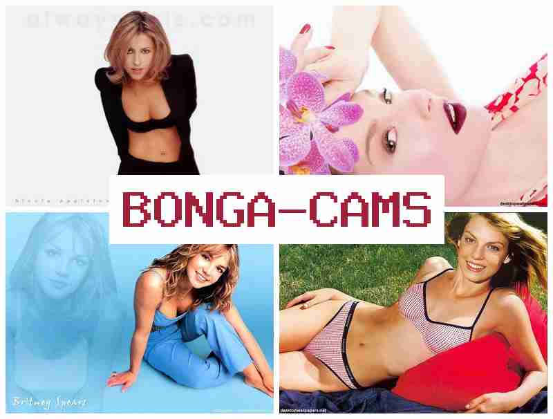 OBNGA CAMS 💋 Sex Meow Slut & Webcams Blonde Anal