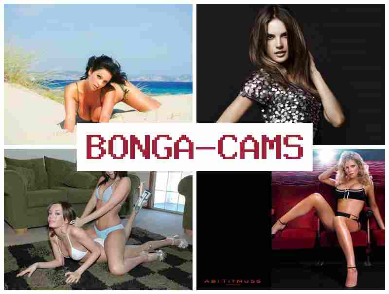 BNOGA CAMS 🎥 Show Pussy, Webcam Video & Porn Machine