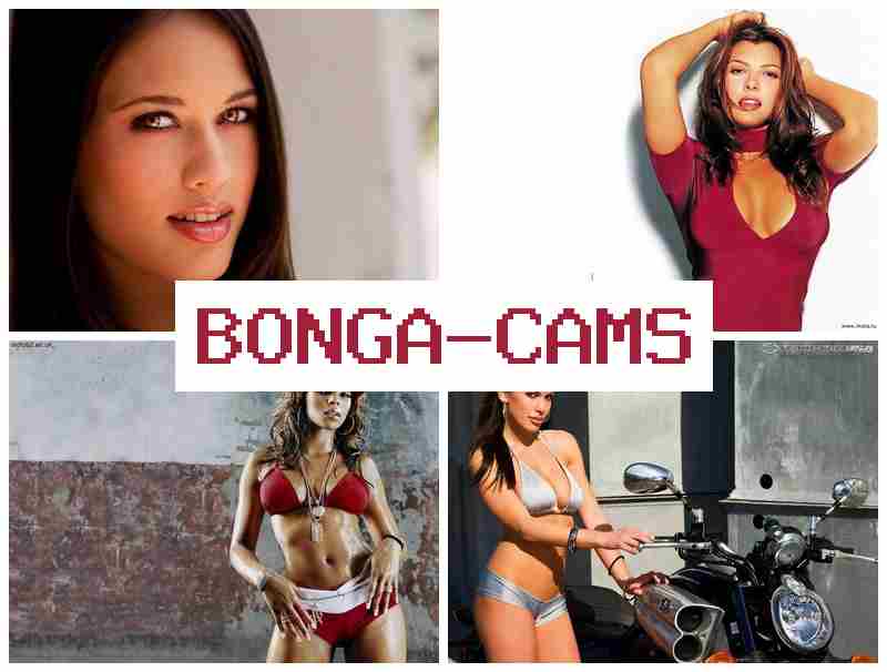 BOHGA CAMS 🆗 Genshin Impact Porn & Fisting Porno Webcams