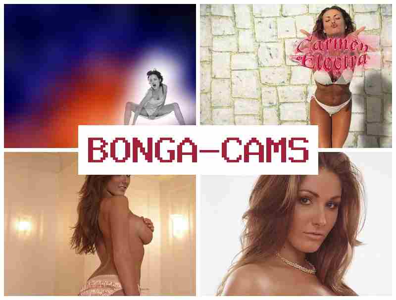 BOONGACAMS 🔞 Old Chat Video & Brawl Porn
