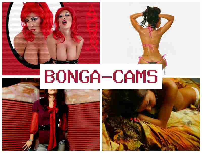 BONGA DAMS ▓ Big Curvy Sex & Fnaf Porn